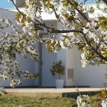 Il Giardino Dei Ciliegi - Turi Bed & Breakfast エクステリア 写真