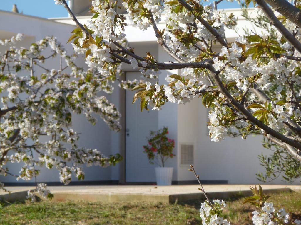 Il Giardino Dei Ciliegi - Turi Bed & Breakfast エクステリア 写真